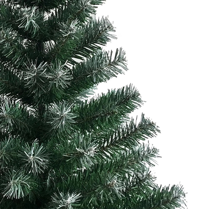 Green Christmas tree with white tips