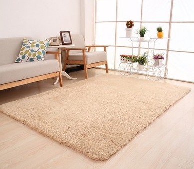 Fluffy beige shag rug in living room