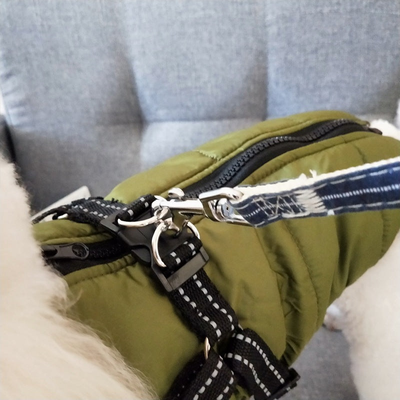 Dog wearing padded winter coat with harness
