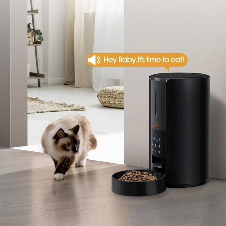 Colverro™ Large Automatic Pet Feeder with Timer and Voice Recorder