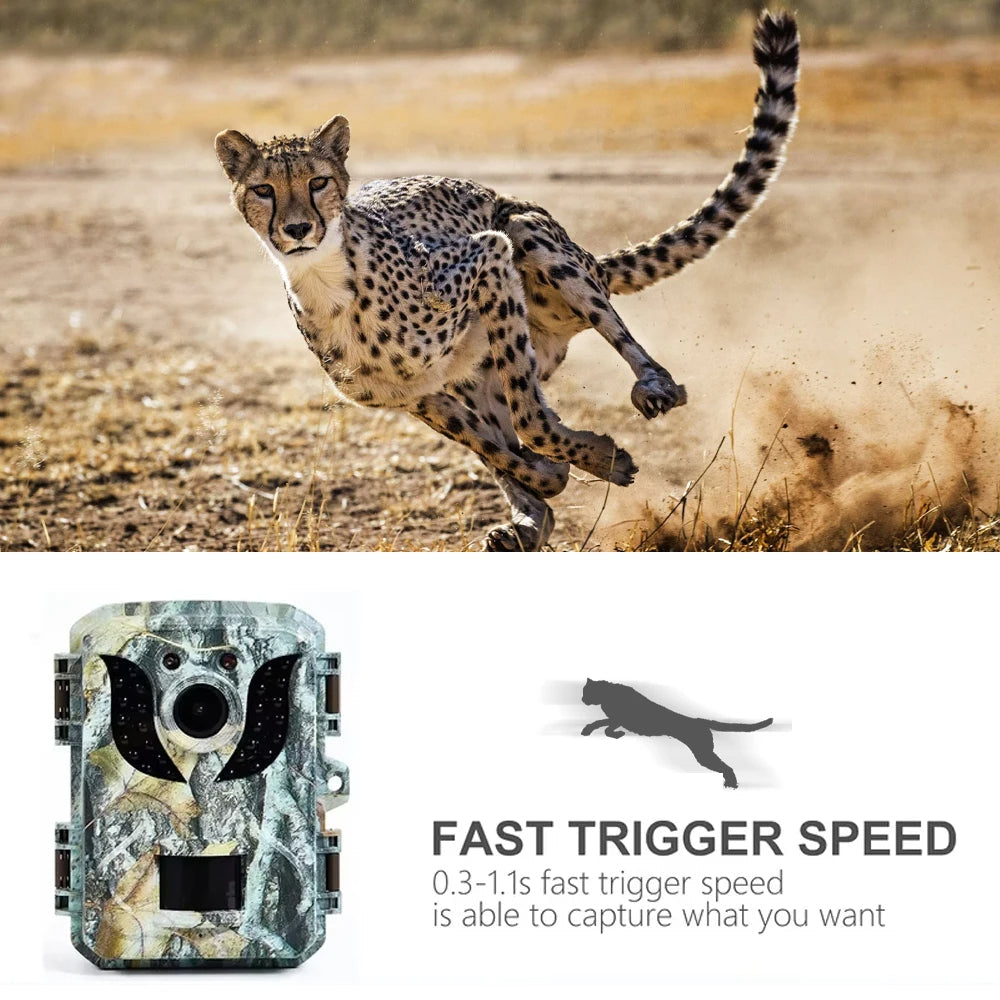 Colverro™ Trail Camera with 16MP Photos, 1080P Video and Infrared Night Vision