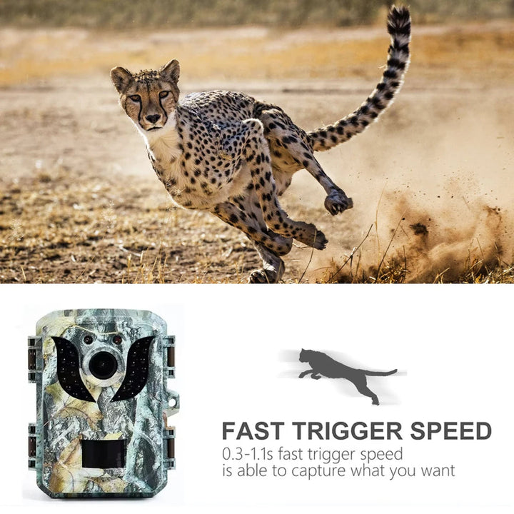 Colverro™ Trail Camera with 16MP Photos, 1080P Video and Infrared Night Vision