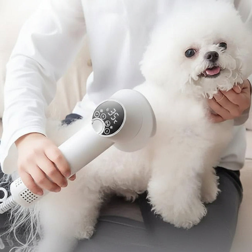 Colverro™ Quiet Ionic Pet Blow Dryer for Dogs and Cats