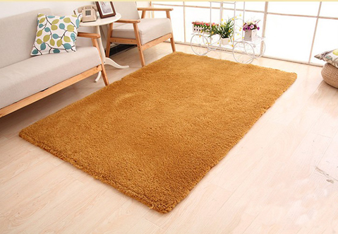 Fluffy beige shag rug in living room