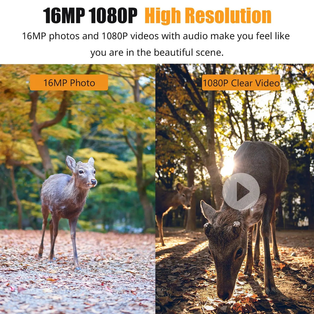 Colverro™ 16MP Trail Camera with 1080p Video and Infrared Night Vision