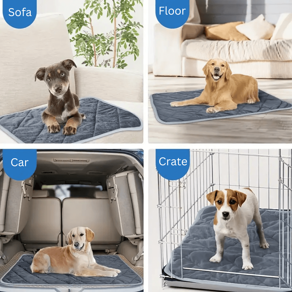 Colverro™ Self-Warming Pet Pad with Non-Slip Base for Dogs and Cats