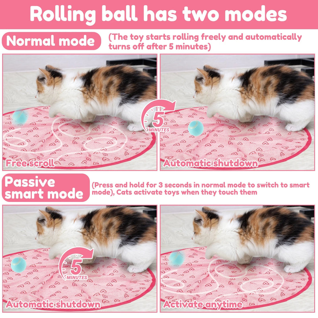 Colverro™ Interactive Cat Hunting Toy with Self-Rolling Smart Ball
