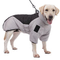 Large dog wearing padded winter coat
