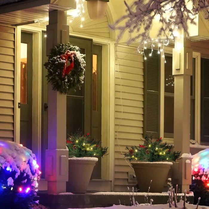 Colverro 2 ft Battery Porch Christmas Tree with Pine Cones