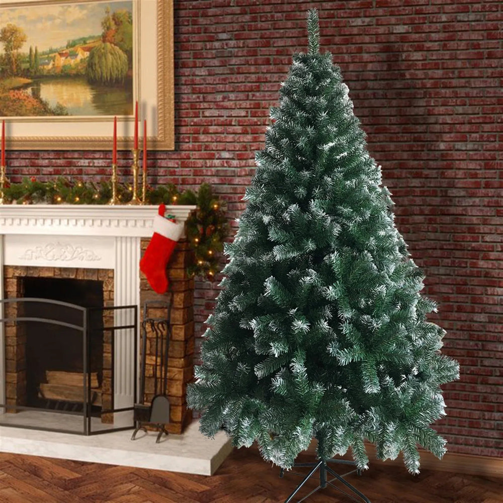 Green Christmas tree with white tips
