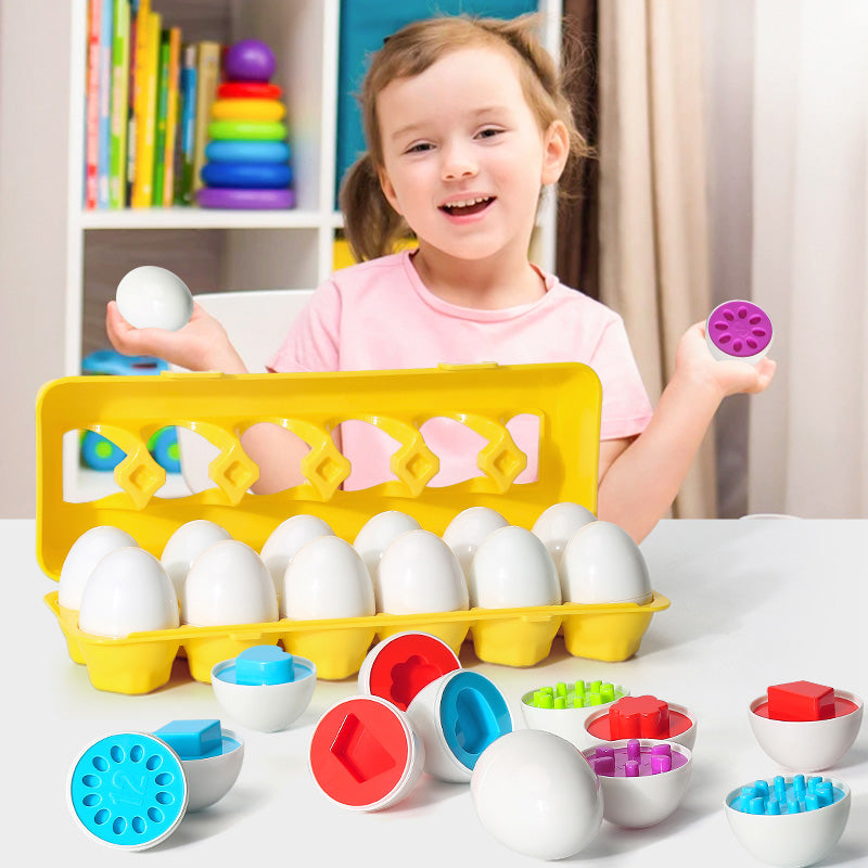 Twelve shape-matching toy eggs in carton
