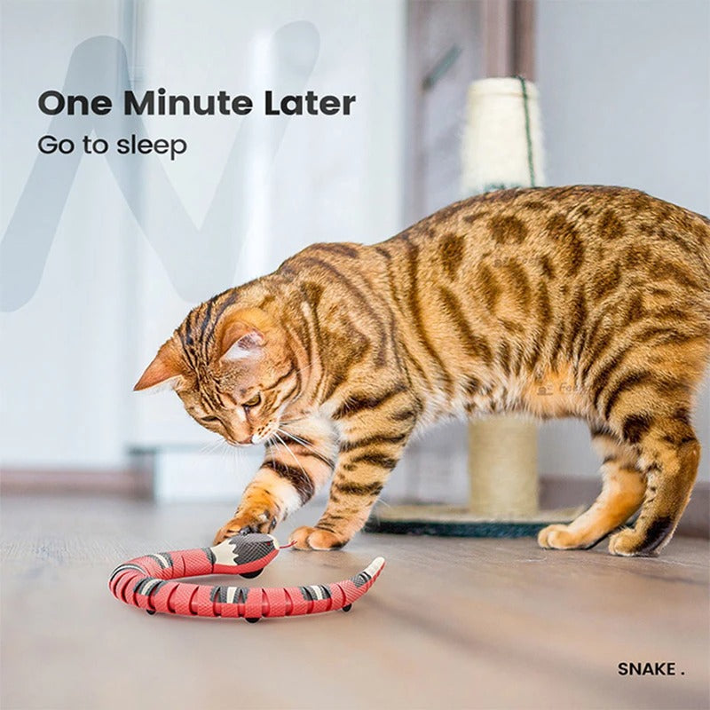 Colverro™ Interactive Robotic Snake Cat Toy with Obstacle Sensors