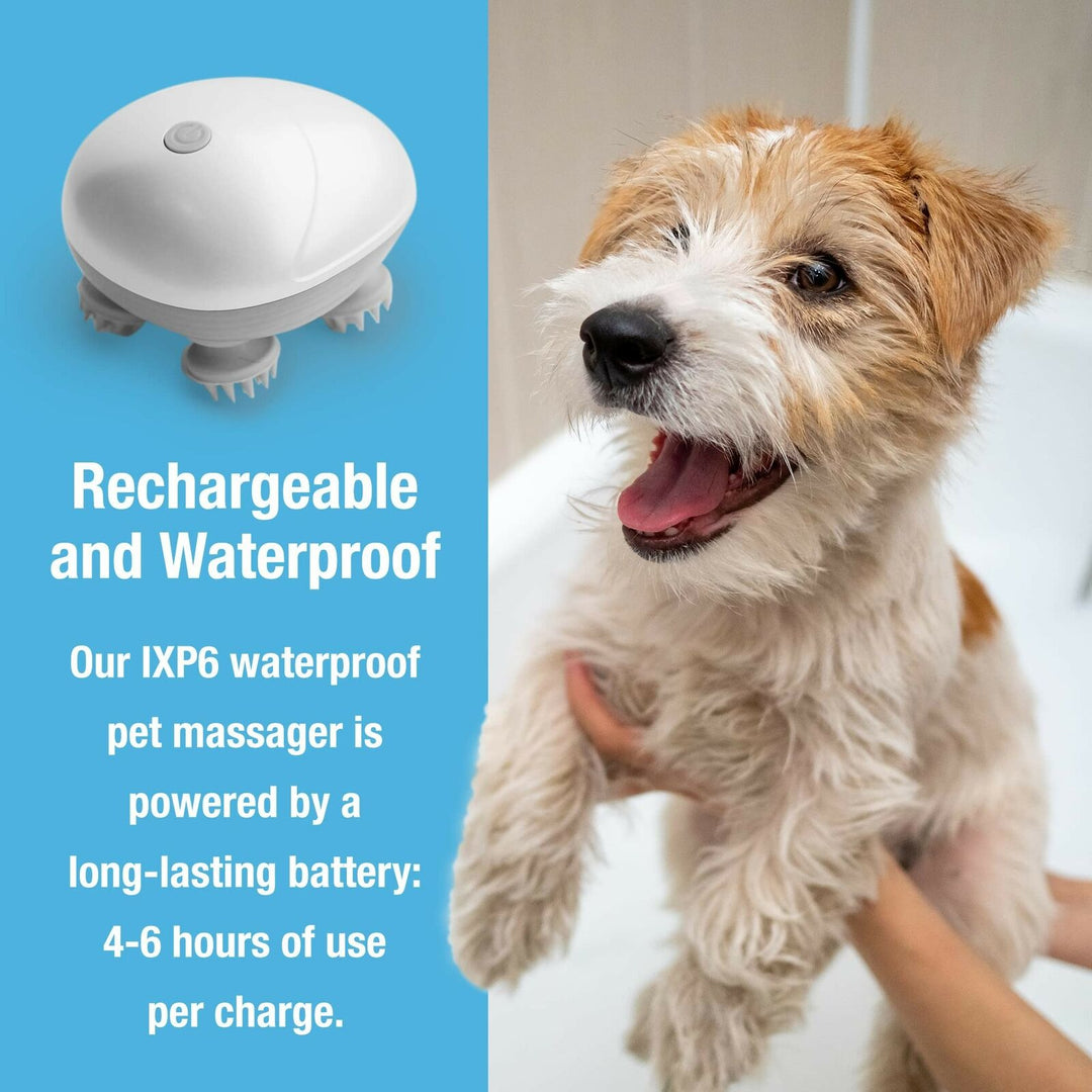 Colverro™ Soft Silicone Pet Massage Brush for Dogs and Cats