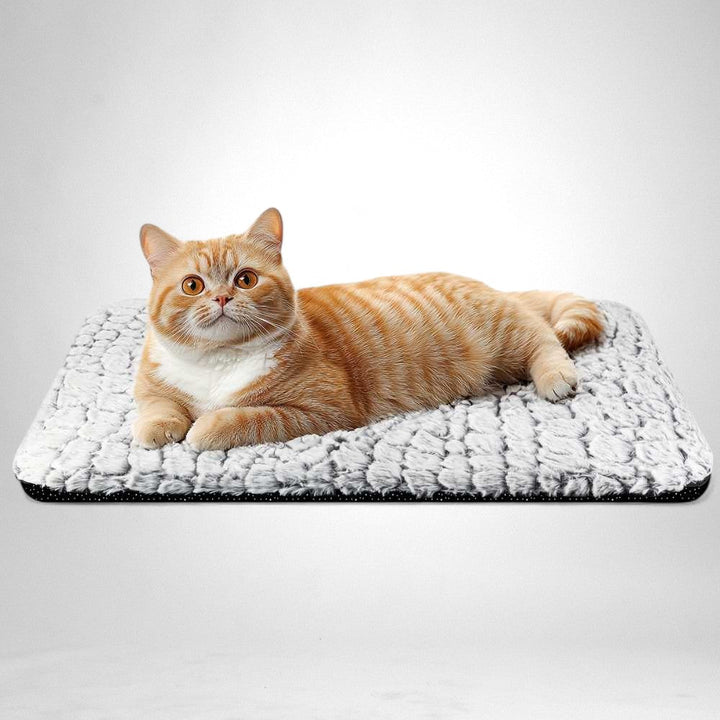 Colverro™ Cat Heating Pad with Removable Cover and Non-Slip Bottom
