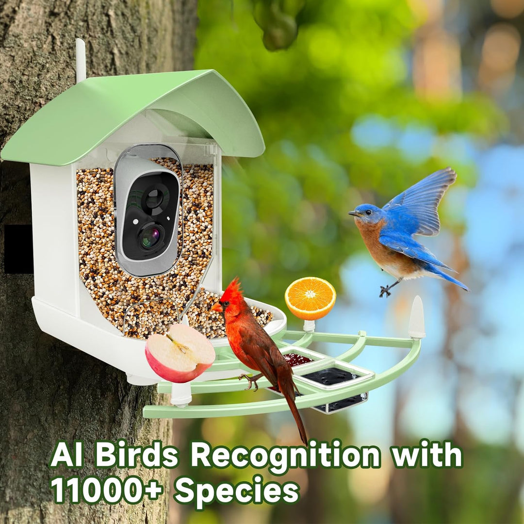 Colverro™ Solar Smart Bird Feeder Camera with AI Bird Recognition