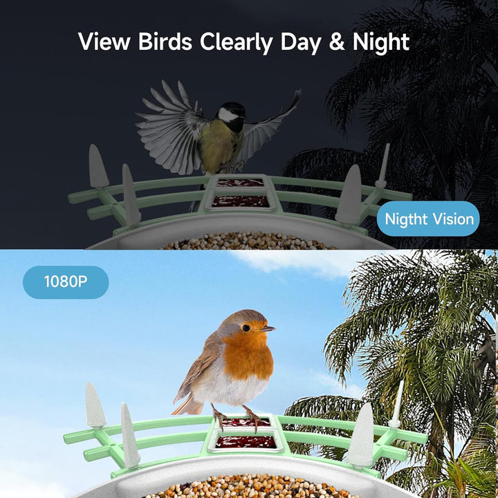 Colverro™ Solar Smart Bird Feeder Camera with AI Bird Recognition