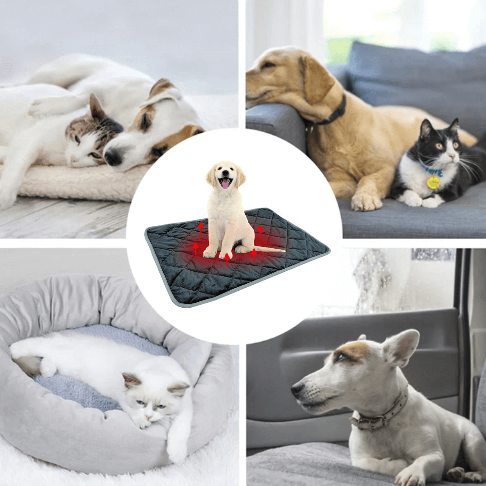 Colverro™ Self-Warming Pet Pad with Non-Slip Base for Dogs and Cats