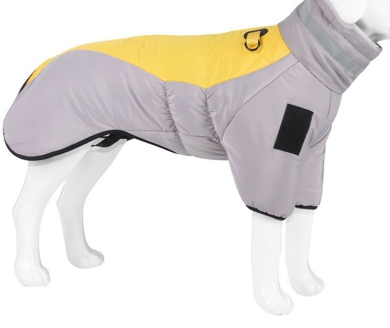 Large dog wearing padded winter coat