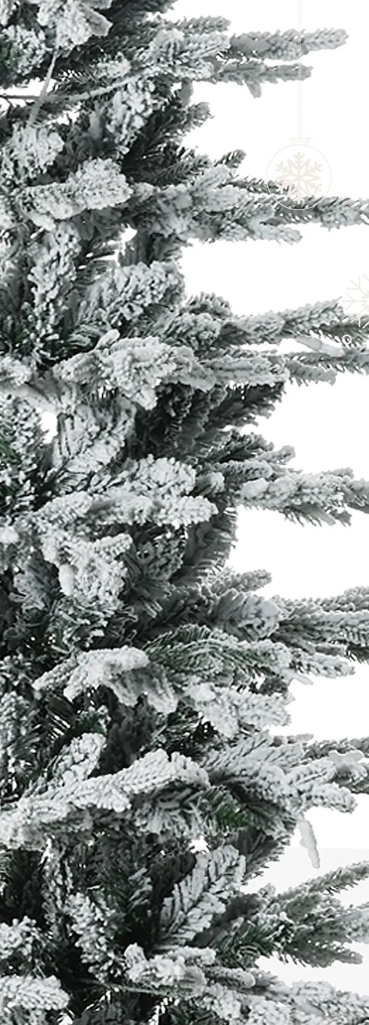 Snow flocked Christmas tree with clear lights