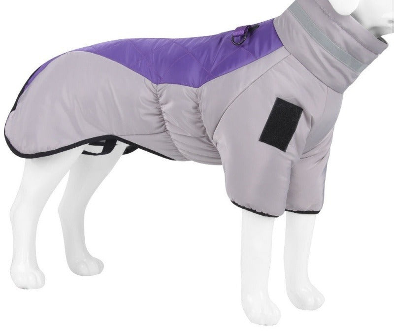 Large dog wearing padded winter coat