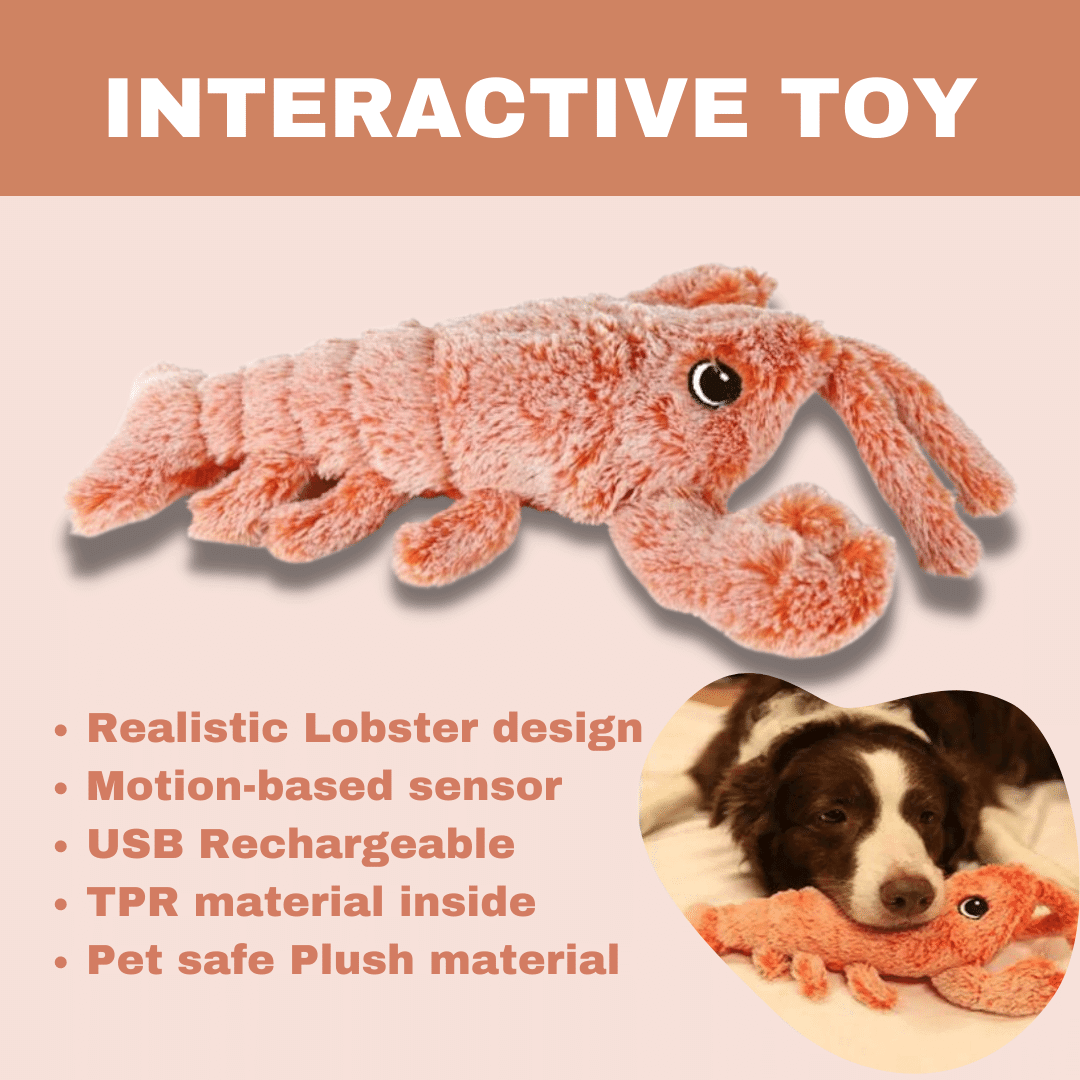 Colverro™ Floppy Lobster Dog Toy with Lifelike Texture for Playtime