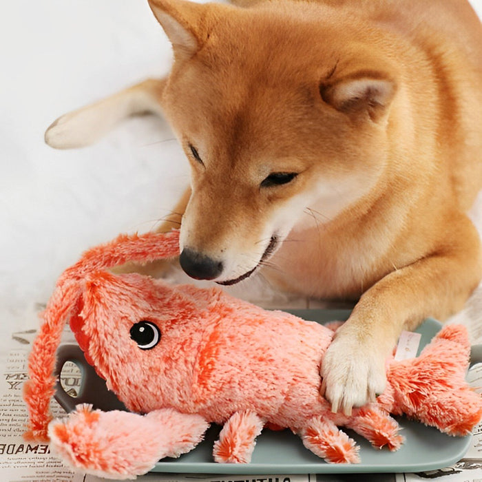 Colverro™ Floppy Lobster Dog Toy with Lifelike Texture for Playtime