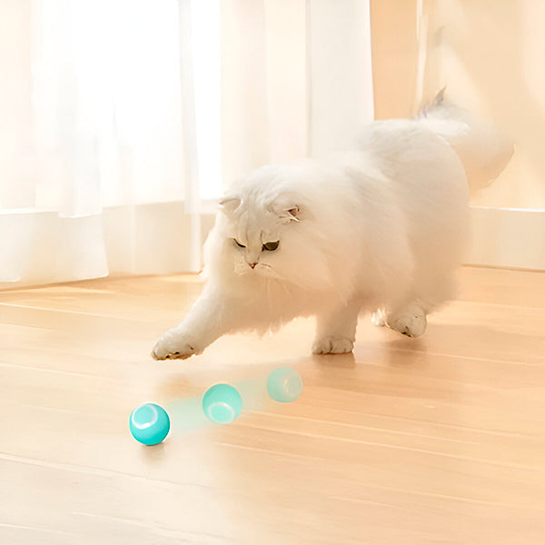 Colverro™ Automatic Rolling Pet Ball for Dogs and Cats, USB Rechargeable