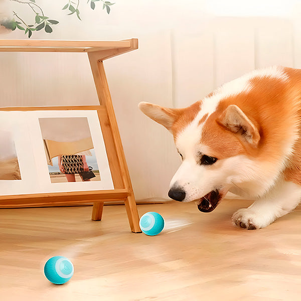 Colverro™ Automatic Rolling Pet Ball for Dogs and Cats, USB Rechargeable