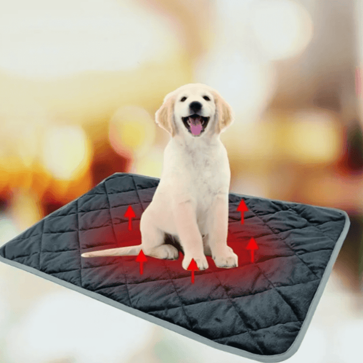 Colverro™ Self-Warming Pet Pad with Non-Slip Base for Dogs and Cats