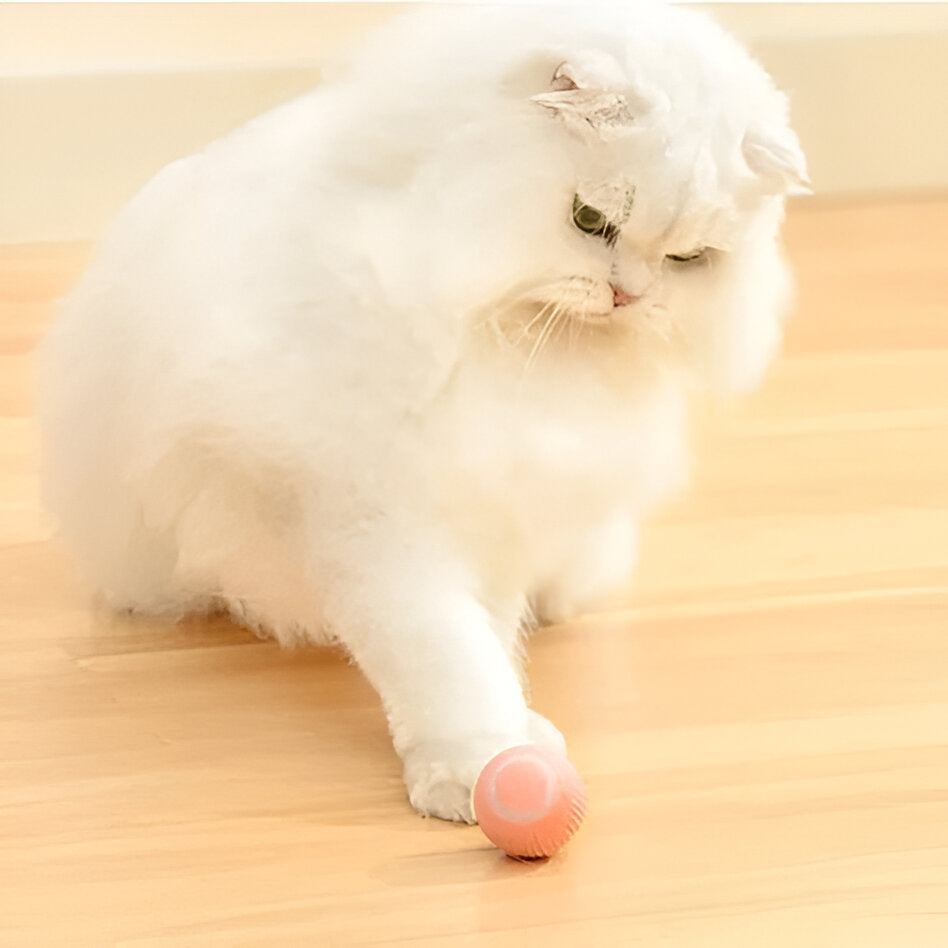 Colverro™ Interactive Rolling Cat Toy Ball with Smart Obstacle Sensor
