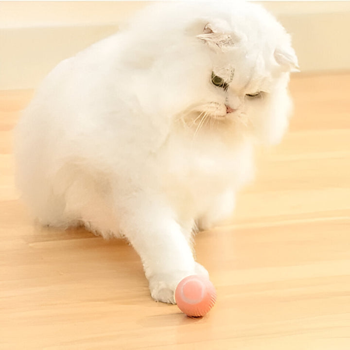 Colverro™ Interactive Rolling Cat Toy Ball with Smart Obstacle Sensor