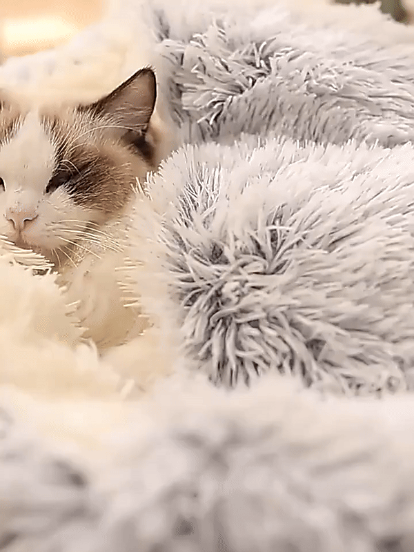 Colverro™ Calming Cave Dog Bed with Cozy Covered Nest Design