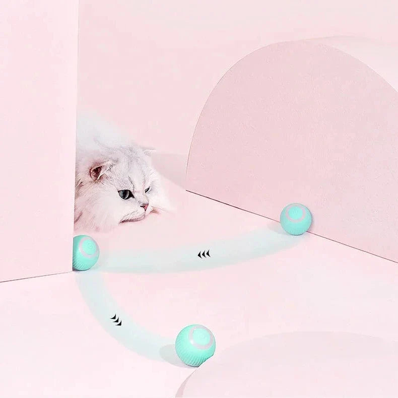 Colverro™ Interactive Rolling Cat Toy Ball with Smart Obstacle Sensor