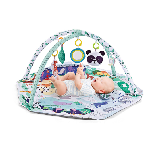 Colverro™ Baby Play Gym and Activity Mat with Arches and Hanging Toys