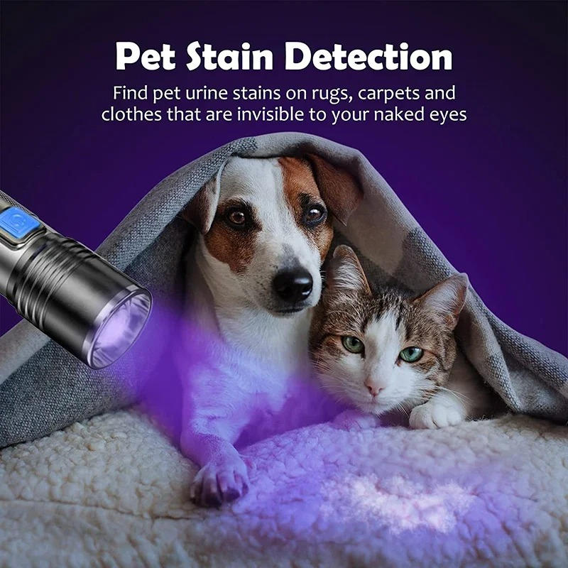 Colverro™ 395 nm UV Black Light Flashlight with Zoom for Pet Stains