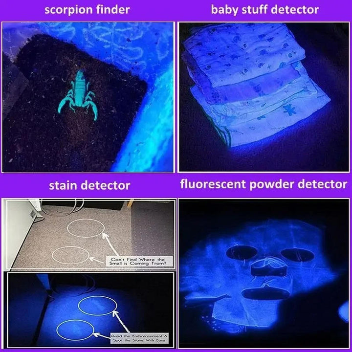 Colverro™ 395 nm UV Black Light Flashlight with Zoom for Pet Stains