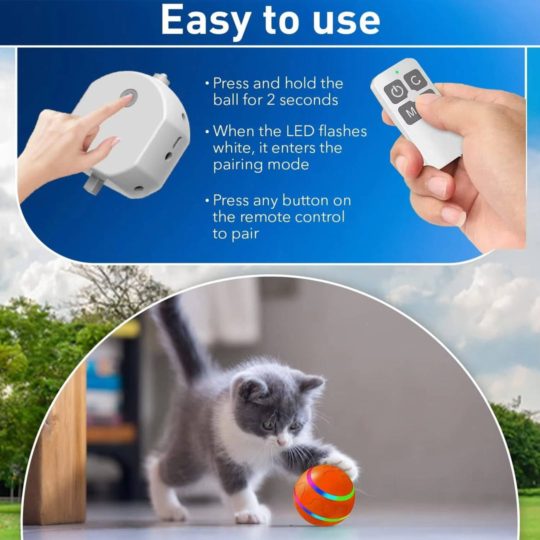 Colverro™ Remote Control Dog Ball with Motion Sensor and Lights