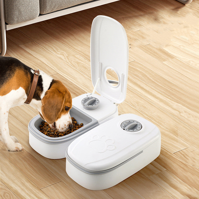 Timed pet feeder with dial and lid