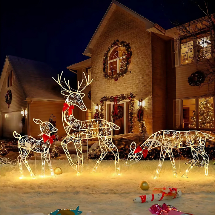 Colverro™ Lighted Reindeer and Sleigh Christmas Display with 240 LEDs