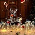 Colverro™ Lighted Reindeer and Sleigh Christmas Display with 240 LEDs