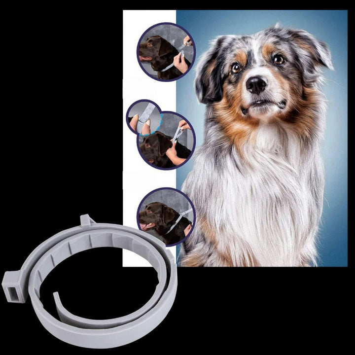 Colverro™ Flea and Tick Collar for Dogs and Cats with Adjustable Fit