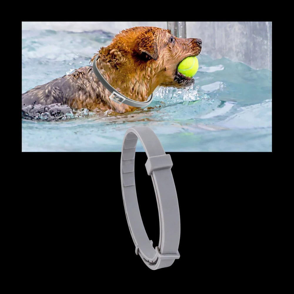 Colverro™ Flea and Tick Collar for Dogs and Cats with Adjustable Fit
