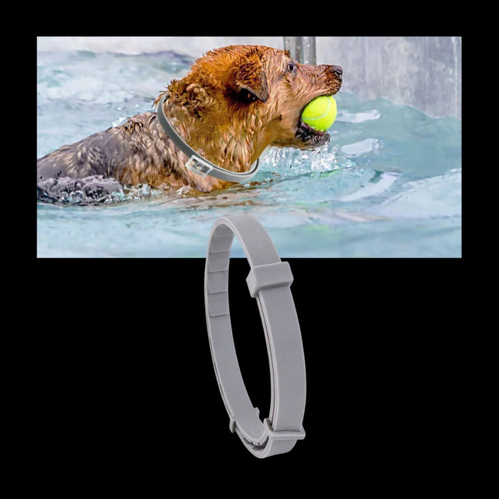 Colverro™ Flea and Tick Collar for Dogs and Cats with Adjustable Fit