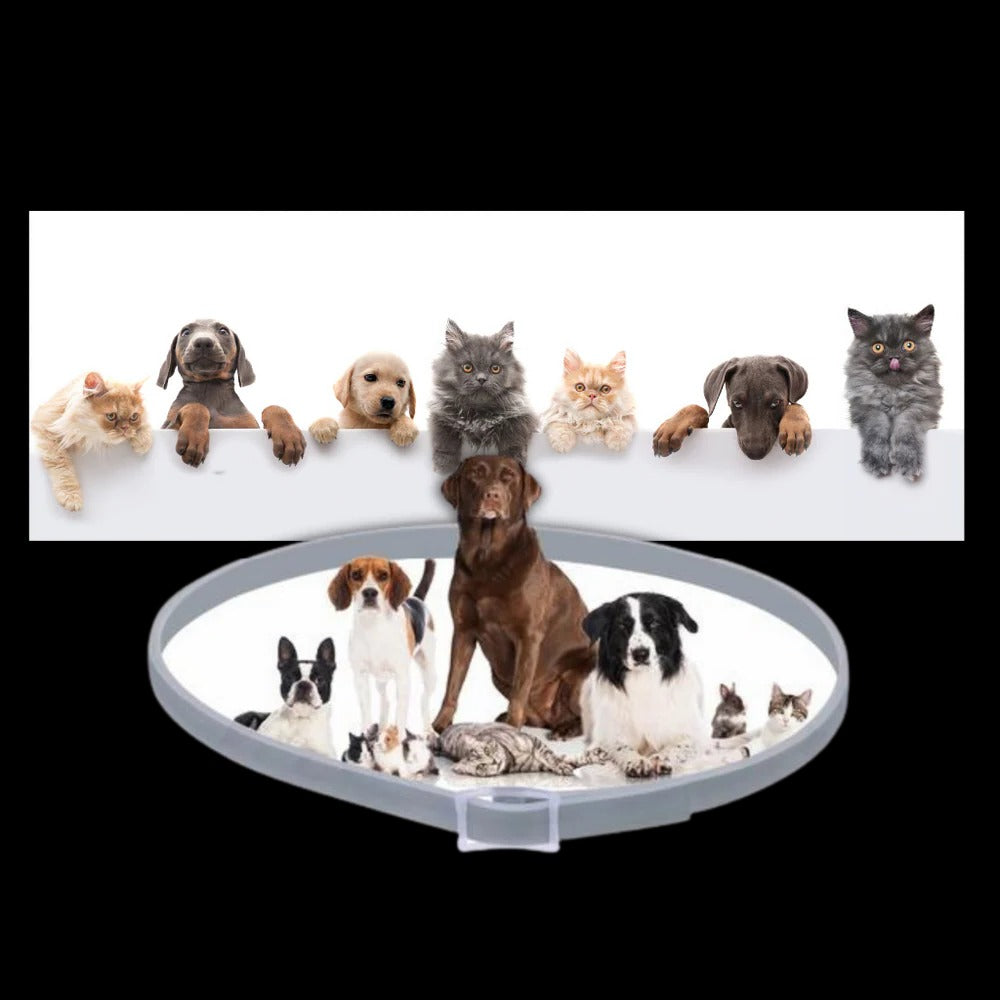 Colverro™ Flea and Tick Collar for Dogs and Cats with Adjustable Fit