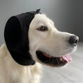 Colverro™ Dog Ear Muffs Hoodie for Noise Reduction and Winter Warmth