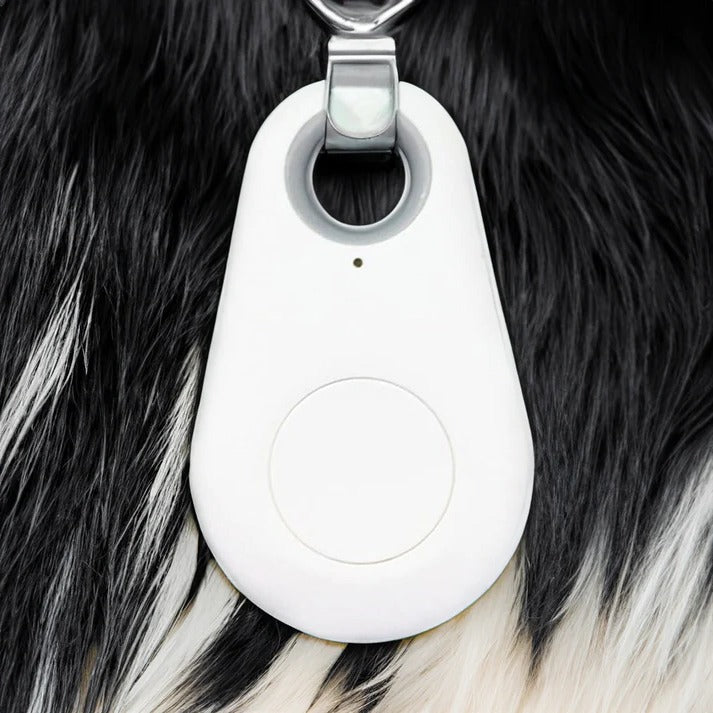 Colverro™ Bluetooth Pet Tracker with Find My Pet Beep and Safe Zones