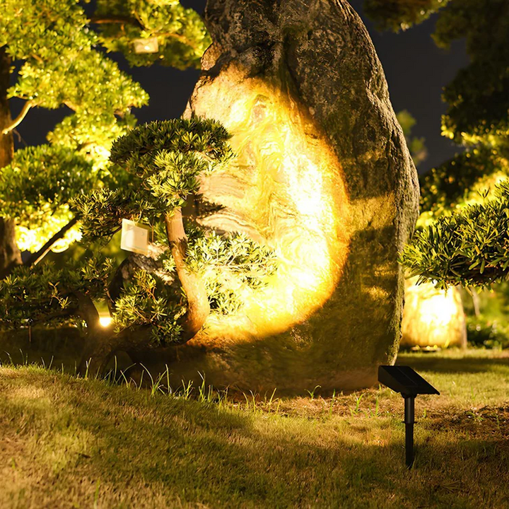 Colverro™ Solar LED Landscape Spotlight with Zoom Lens and RGB Color