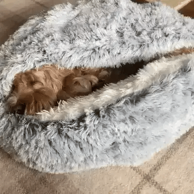 Colverro™ Calming Cave Dog Bed with Cozy Covered Nest Design