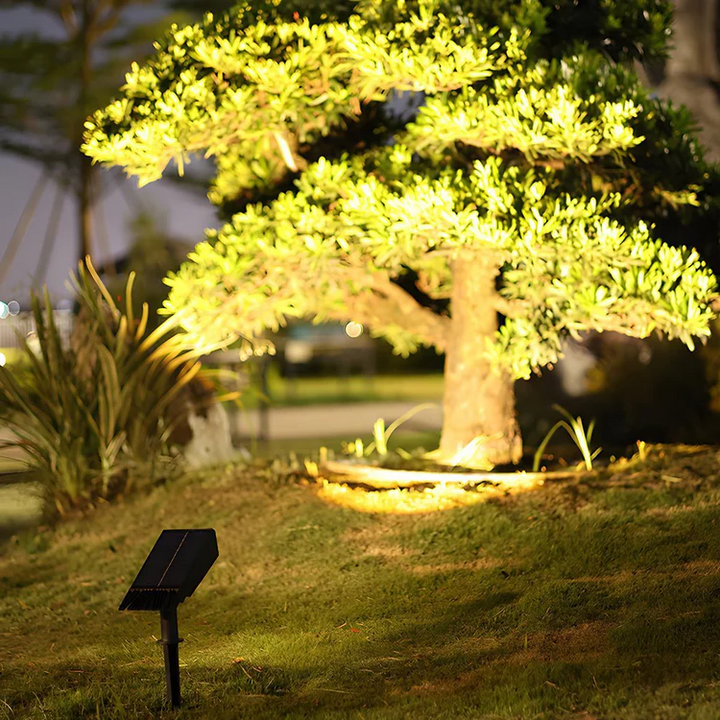 Colverro™ Solar LED Landscape Spotlight with Zoom Lens and RGB Color