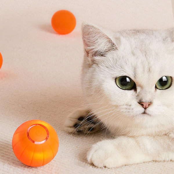 Colverro™ Self-Rolling Smart Cat Ball with 3 Interactive Play Modes